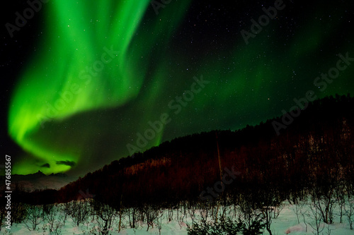 Northern Lights in Norway with snowy mountains in the background- Landscape Photography
