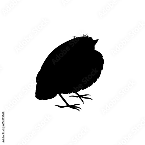 Black silhouette of thrush chick isolated on white background