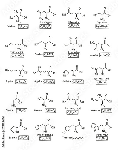 Hand drawn set chemical molecular formula of amino acids in doodle style isolated