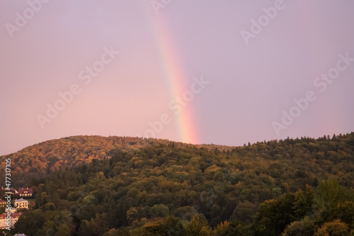 A landscape overlooking the clearings of trees and a rainbow.