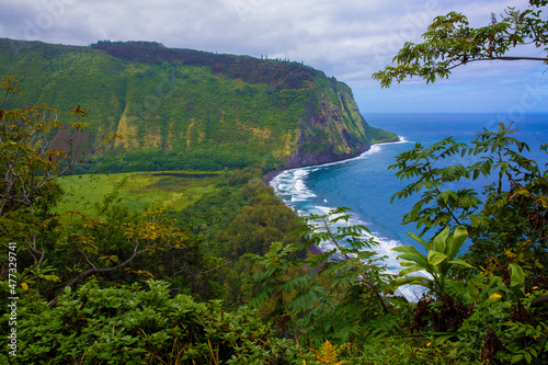 Beautiful, scenic view of lush, tropical Waipio Valley on the Big Island, Hawaii 