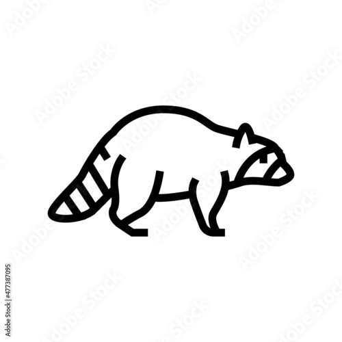 raccoon wild animal line icon vector. raccoon wild animal sign. isolated contour symbol black illustration