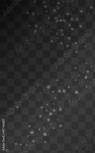 Gray Snowflake Vector Transparent Background. Sky