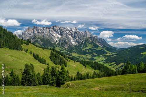 Summer alpine landscape with alpine pastures, forest and mountain range, Hochkoenig, Maria Alm, Dienten, Salzburg, Austria