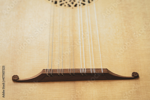 Lute of the 16th century. Close-up details.