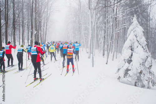 Group of cross country skiers in white winter nature