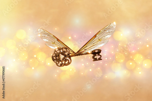 magical flying key meaning with dragonfly wings