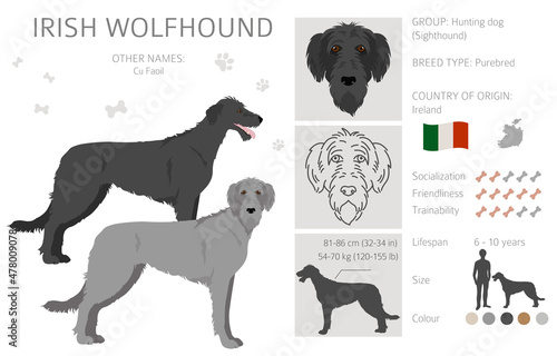 Irish wolfhound clipart. Different poses, coat colors set