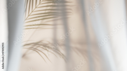 Palm leaves shadow on beige background, freeze motion