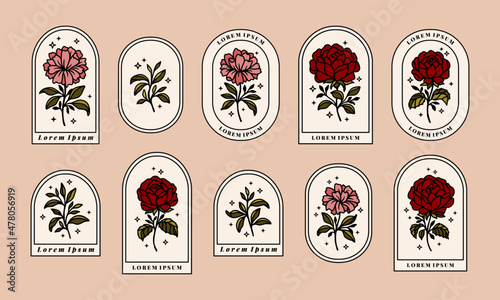 Set of hand drawn vintage retro botanical feminine rose, daisy, carnation flower, leaf branches, and frame line art logo elements