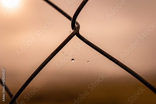  little delicate water drops on a spider web in close-up on a foggy day
