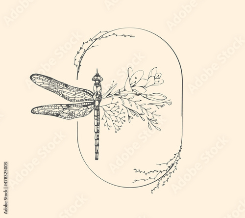 Half shape dragonfly with branch and flowers for tattoo t-shirt print or wall art. Hand drawn wedding herb. Botanical rustic trendy greenery. Vector