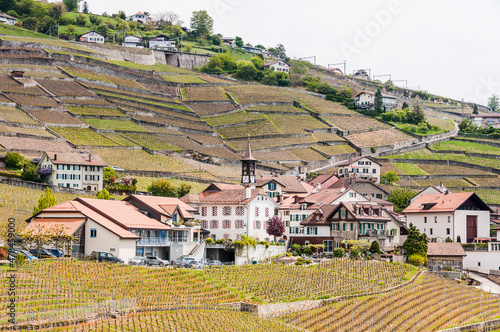 Lavaux, Weiler Aran, Lutry, Genfersee, Weinberge, Dorf, See, Seeufer, Wanderweg, Weinberg-Terrassen, Weinbauer, Frühling, Waadt, Schweiz