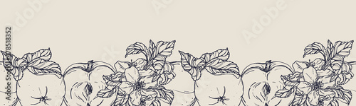 Vector horizontal seamless border with hand darwn apples and apple blossom. Eps 10 fruits backdrop. Line-art botanical illustration