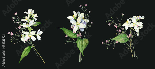 Small watercolor bouquets of jasmine and pink flowers