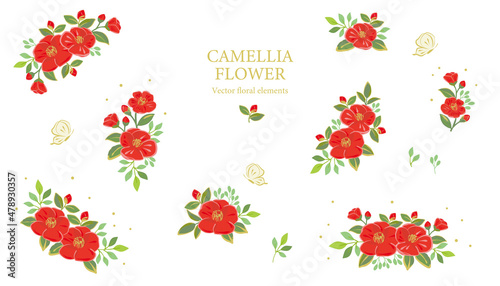 Red camellia flowers illustration set, Vector floral elements.