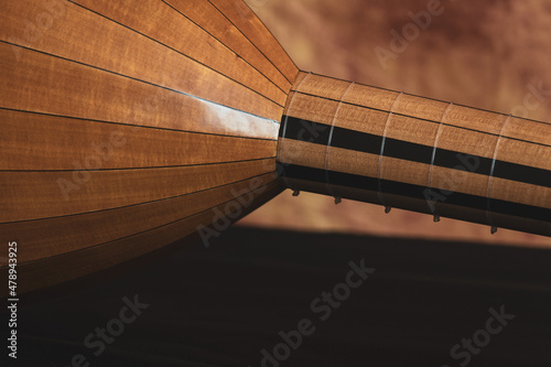 Lute of the 16th century. Close-up details.