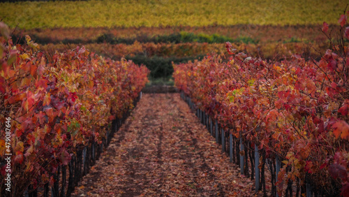 La Rioja is a province and autonomous community in northern Spain with a renowned local wine industry. 