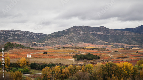 La Rioja is a province and autonomous community in northern Spain with a renowned local wine industry. 