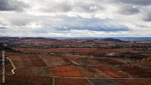 La Rioja is a province and autonomous community in northern Spain with a renowned local wine industry. 