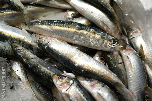Close up heap of fresh raw Sardines at market stall.