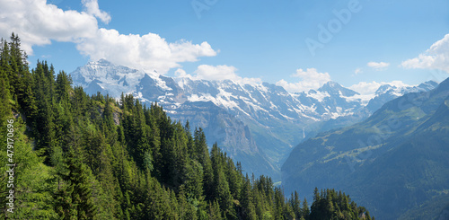 mountain panorama Bernese Alps, view from Schynige Platte