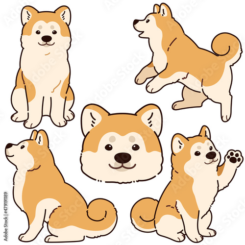 Simple and adorable outlined Akita Dog illustrations