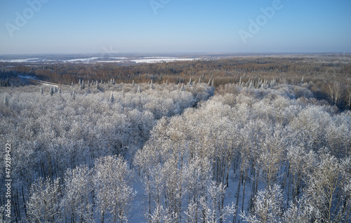Aerial photo view of winter taiga landscape on Salair Ridge in winter. Siberia, Russia