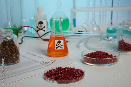 Red peppercorns control in toxic test lab. Photo of red peppercorns on the chemical laboratory table. Red pepper in a petri dish. Food quality and safety control. Chemical glassware, such as flasks