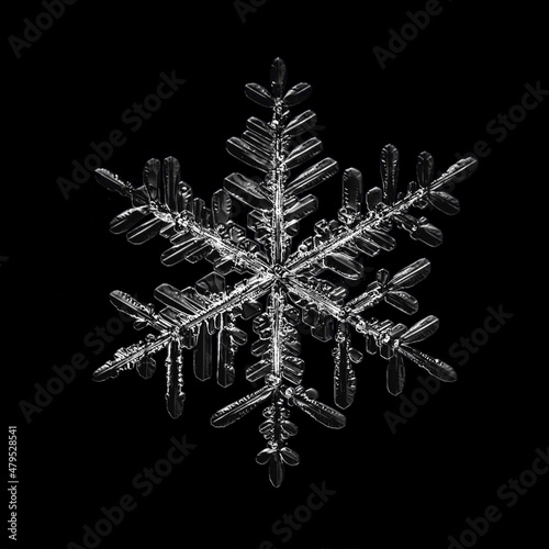 snowflake isolated on black background natural photo crystal winter design
