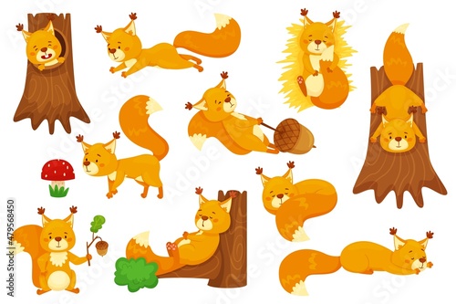 Cartoon squirrel sleeping, cute squirrels with acorns. Funny forest wildlife animal character sitting in tree hollow, holding acorn vector set. Lovely fluffy creature having different activities