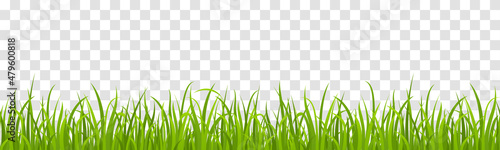 Realistic green grass. Vector set of seamless fresh grass meadow border, lawns, field isolated on transparent background. Spring or summer lawn panoramic landscape. Horizontal herbal background