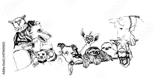 Banner con cornice di animali vari in bianco e nero, disegno a mano libera isolato su sfondo ianco