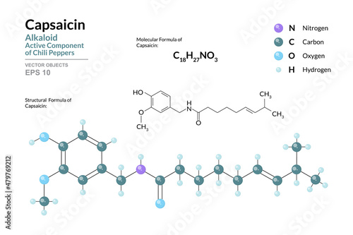 Capsaicin. Active Component of Chili Peppers. Structural Chemical Formula and Molecule 3d Model. C18H27NO3. Atoms with Color Coding. Vector Illustration