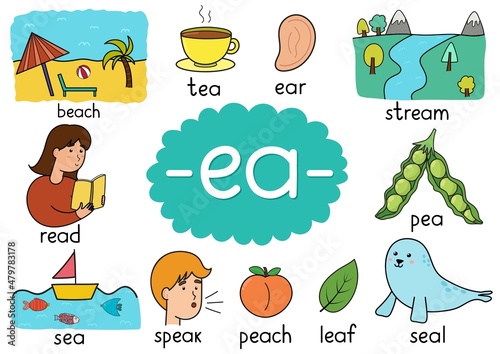 Ea digraph spelling rule educational poster for kids with words. Learning phonics for school and preschool. Phonetic worksheet. Vector illustration