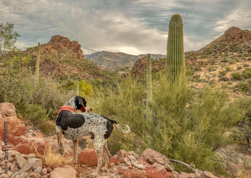 Superstition Mountains of Arizona