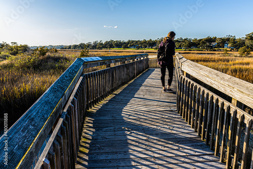 Boardwalk Trail On The Cherry Grove Marsh, Heritage Nature Preserve, Myrtle Beach, South Carolina, USA