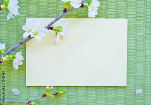畳を背景に啓翁桜の花の枝で飾ったクリーム色の何も書かれていない長方形のカードのモックアップ