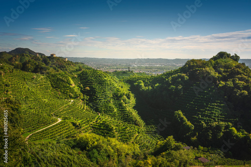 Prosecco Hills, vineyards, San Lorenzo church and Credazzo Towers. Unesco Site. Veneto, Italy