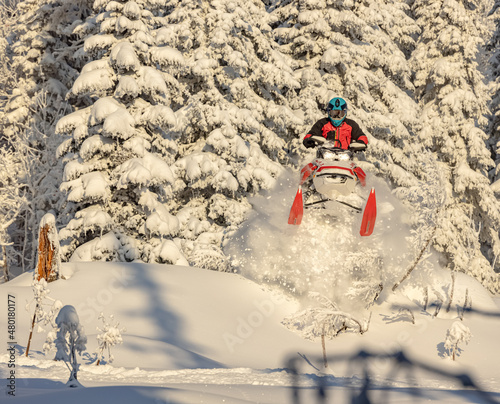 the snowmobile jumped out of the snow-covered forest. a sports snowmobiler in bright clothes and a helmet without brands, a colorful snowmobile of a new model