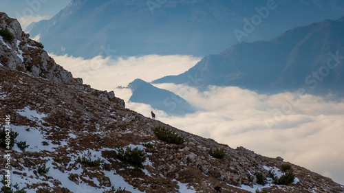 rifugio altissimo damiano chiesta