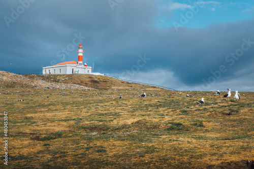 Isla Magdalena Lighthouse in the Strait of Magellan in Chilean Patagonia with Patagonian penguins around