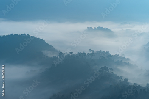 Beautiful landscape of mountain range and forest-covered by low clouds with visible silhouettes over the hill blue fog.