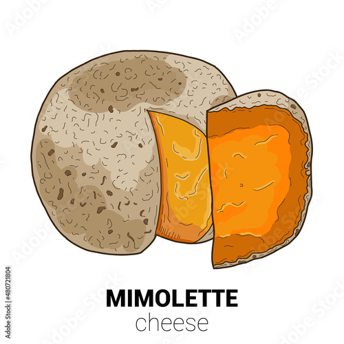 Mimolette Cow Cheese Colorful Vector Illustration
