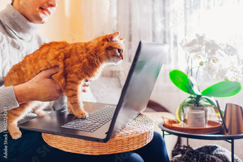 Young man working online from home with pet using laptop. Ginger cat looking at screen of computer.