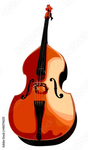 Classic musical instrument. Brown contrabass vector. Bottom view