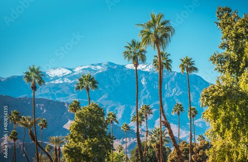 Winter in the City of Palm Springs California