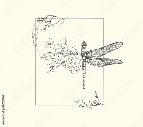 Half shape dragonfly with branch and flowers for tattoo t-shirt print or wall art. Hand drawn wedding herb. Botanical rustic trendy greenery. Vector