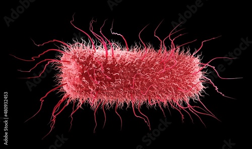 Escherichia coli, this rod-shaped E.coli bacteria or salmonella with peritrichous flagella can cause acute urinary tract infections, abdominal cramps or typhoid fever. 3d graphic