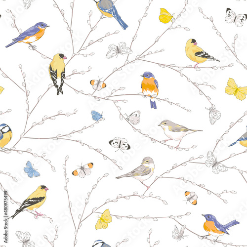 Many garden birds sitting on Spring Pussy Willow branch Flying butterfly vector seamless pattern. Vintage romantic nature hand drawn print. Cottage core aesthetic background.